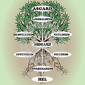 Yggdrasil Ã¢â¬â vector World tree from Scandinavian mythology photo